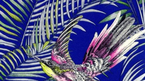 Sunbird W6543-04